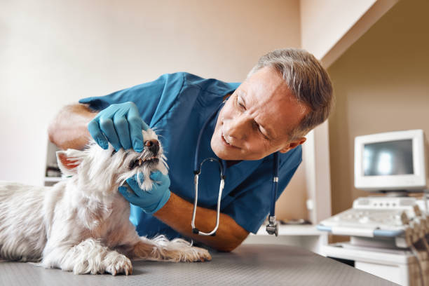 Best Pediatric Emergency Dentist in Myrtle Beach, SC